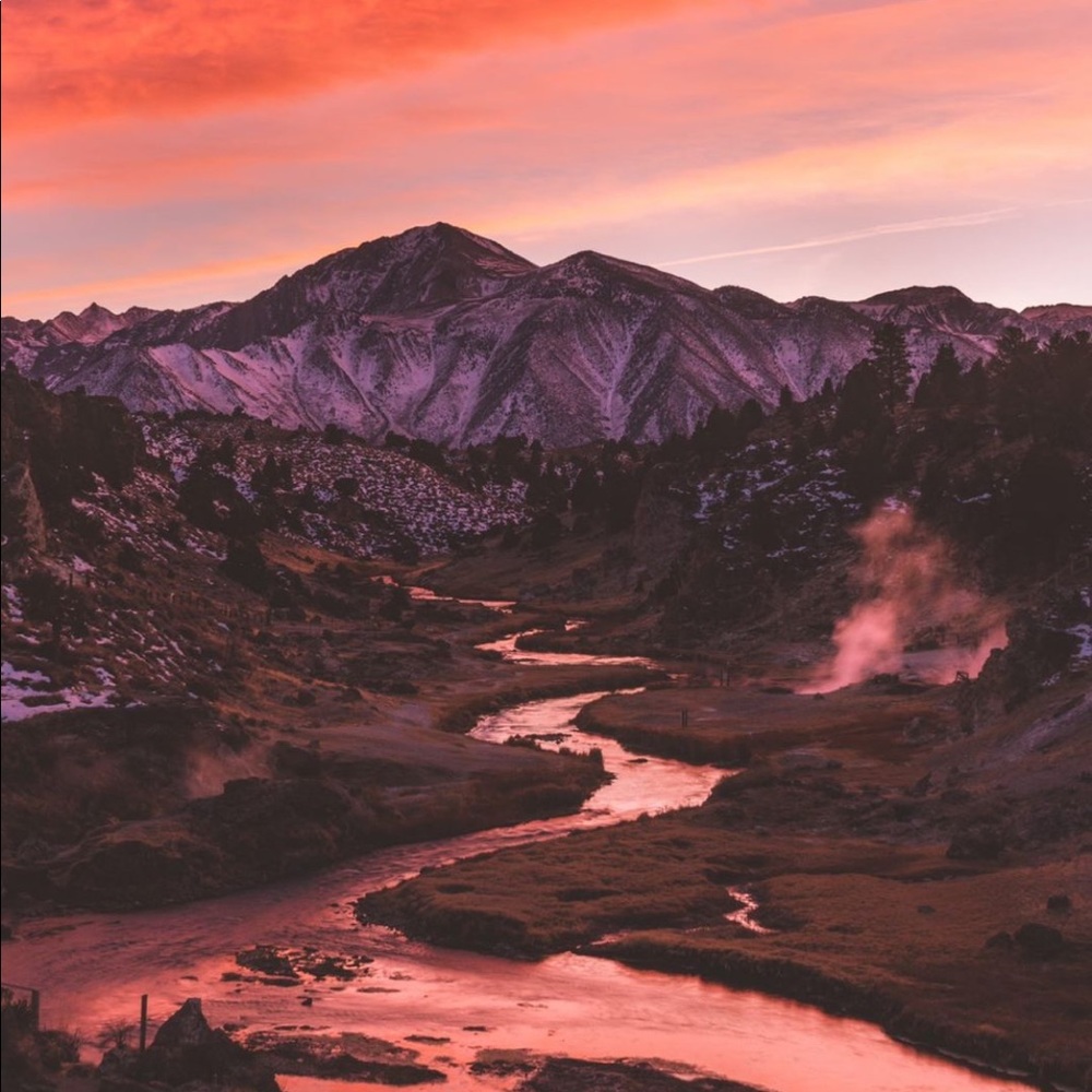 Meet your Posher, Radley